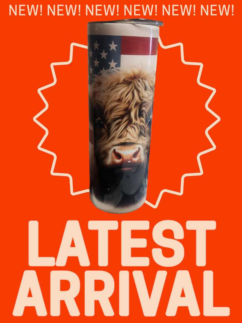 Custom 20oz stainless tumbler