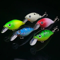 Fishing Bait, Tackle, and Gear Collection