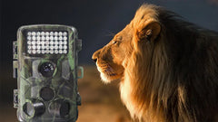 Outdoor Camera for Hunting and Research Monitoring