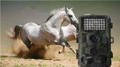 Outdoor Camera for Hunting and Research Monitoring