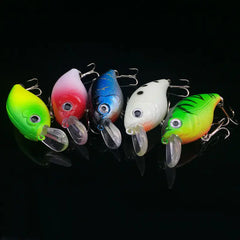 Fishing Bait, Tackle, and Gear Collection