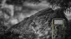 Outdoor Camera for Hunting and Research Monitoring