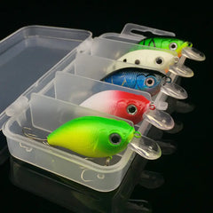 Fishing Bait, Tackle, and Gear Collection